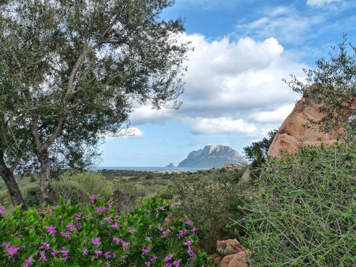 Vila Le Caterine Porto San Paolo  Exteriér fotografie