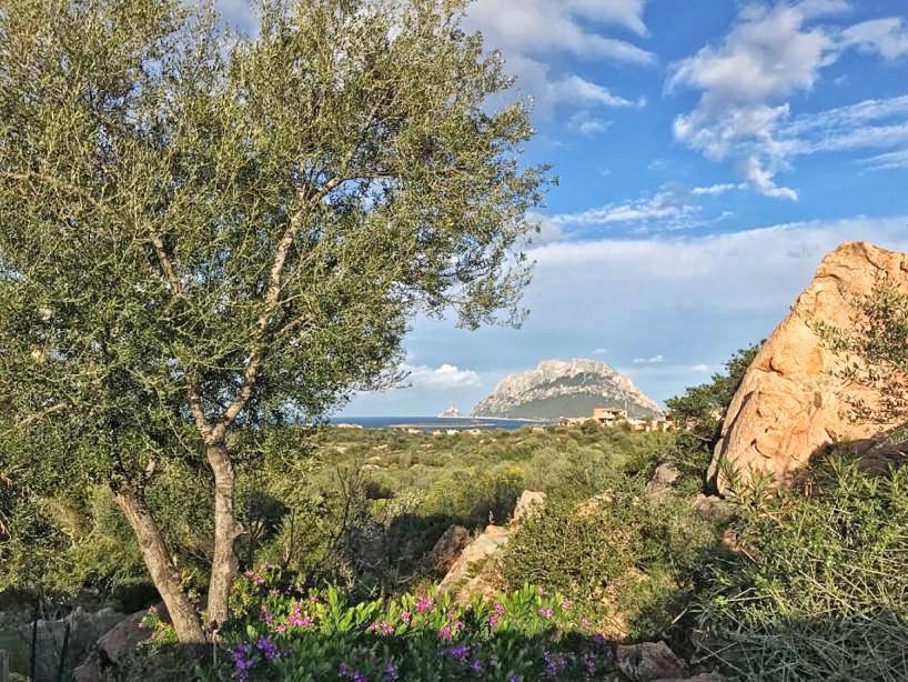 Vila Le Caterine Porto San Paolo  Exteriér fotografie